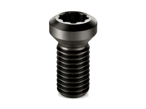 Высокопрочные прецизионные винты со шлицем TORX PLUS®