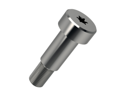 Винт с цилиндрической головкой со шлицем Torx и гладкой цапфой