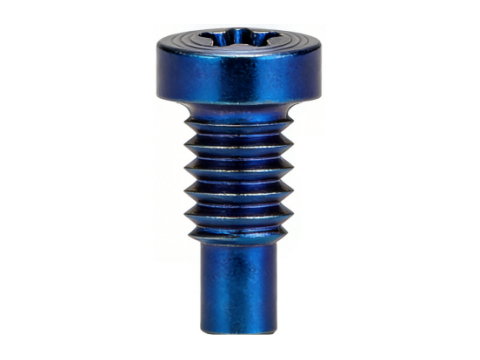 Torx Cvlinder Head PVD CD Texture Screws